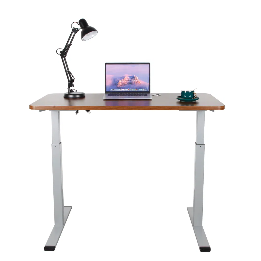 Best Selling ODM OEM Two Stages Height Adjustable Dual Motor Customized Office Desk