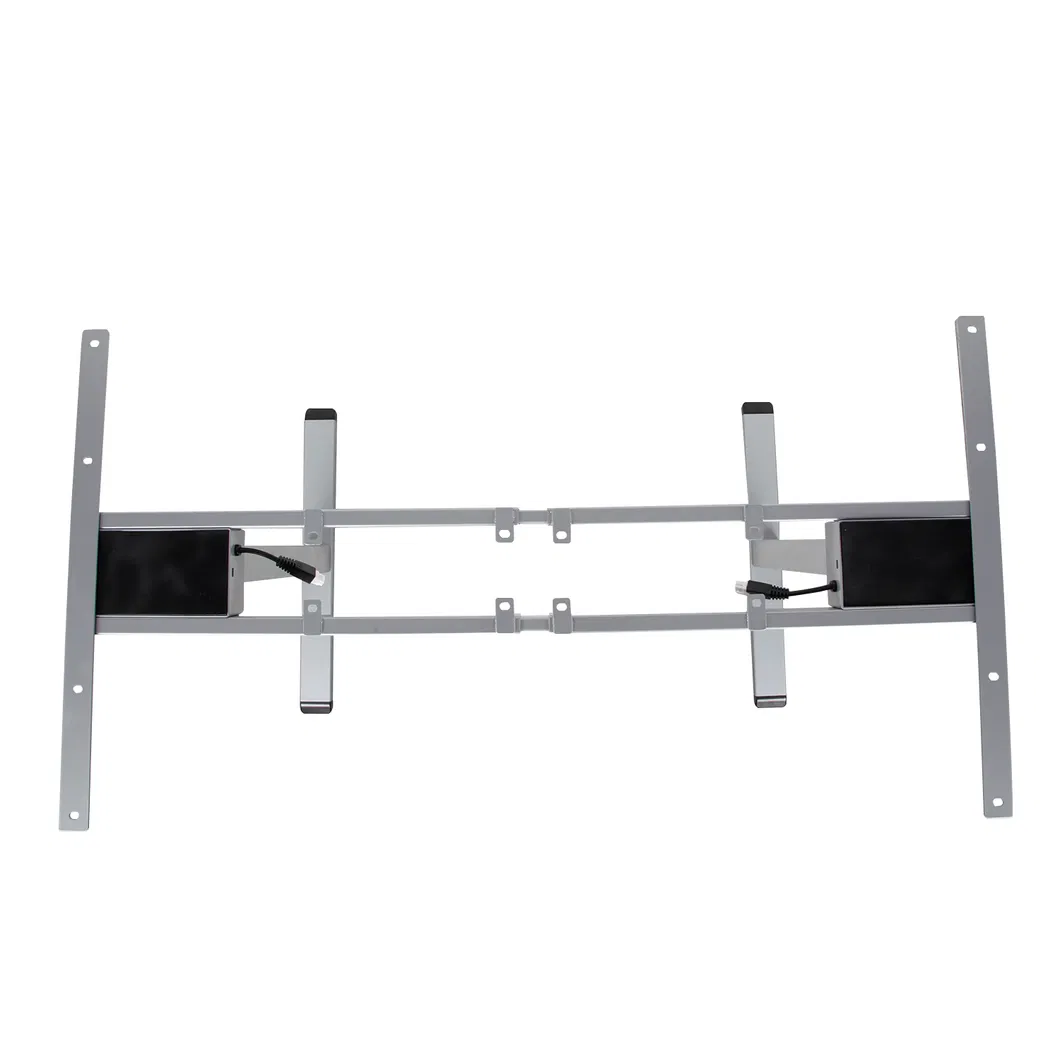 Best Selling ODM OEM Two Stages Height Adjustable Dual Motor Customized Office Desk