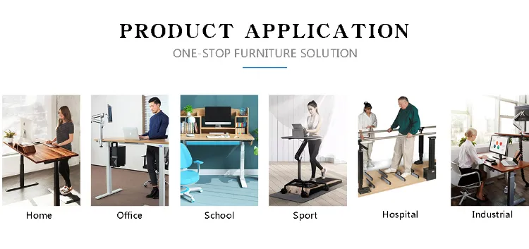 Chinese Factory Ergonomic Office Table Executive Office Furniture Dual Motor Sit and Stand Desk