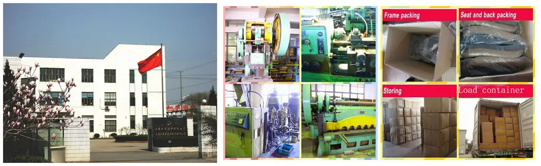 Cinema Seat Auditorium Seating Theater Chair (SD22D)