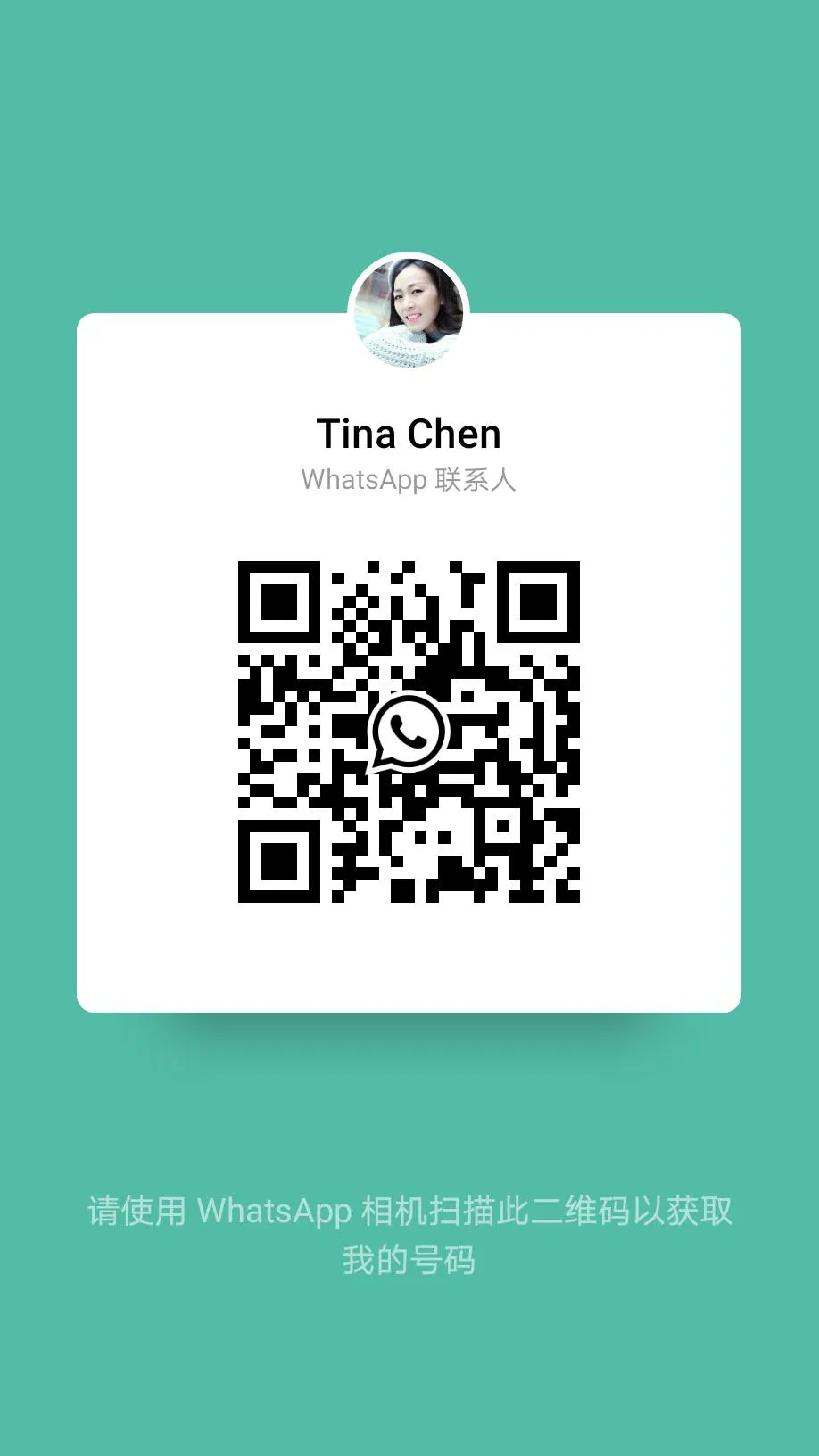 Colorful Cafe Office Restaurant Plastic Chair for Sale