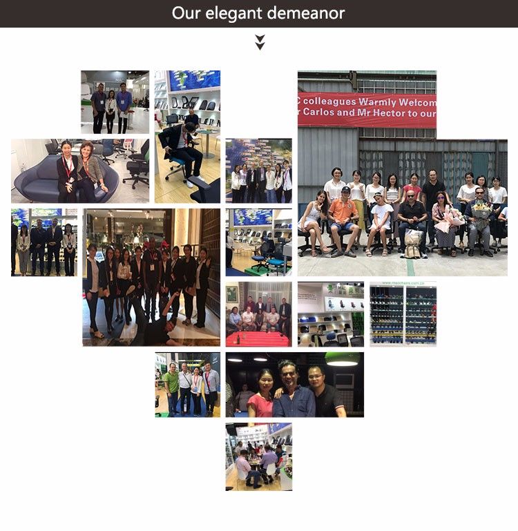 Comfortable Executive Office Furniture Ergonomic Mesh Office Chair