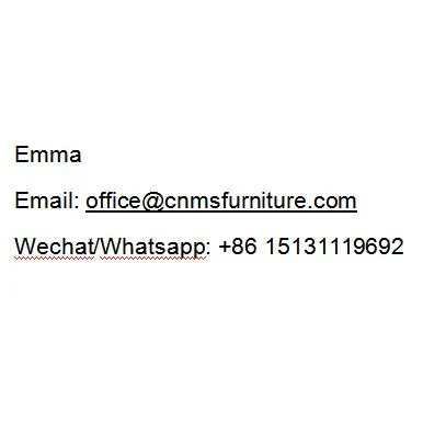 Eames Nordica Sillas Eiffel Powder Coated Replica Black Metal Wire Outdoor Modern Cafe Dining Chairs with Cushion