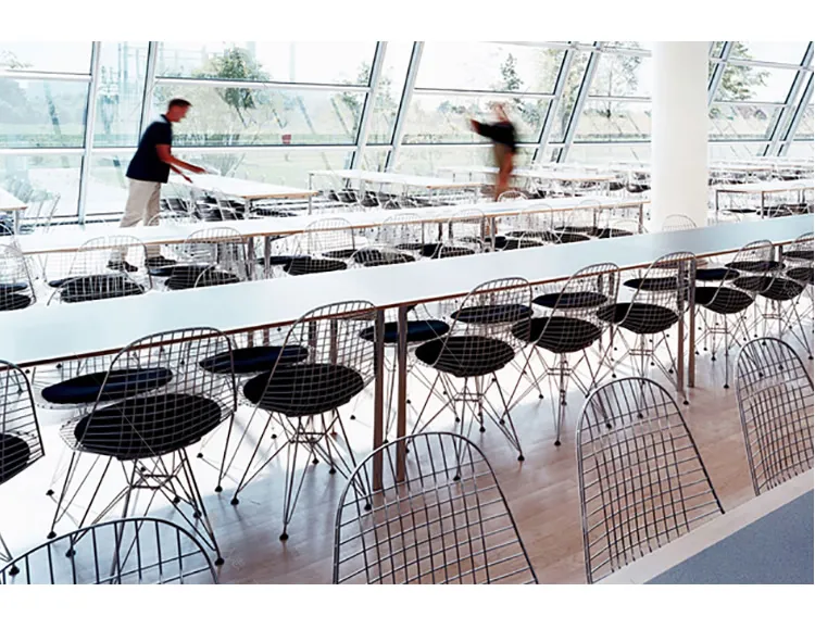 Eames Nordica Sillas Eiffel Powder Coated Replica Black Metal Wire Outdoor Modern Cafe Dining Chairs with Cushion