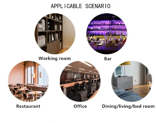 Factory Supply New Style Outdoor Furniture Colorful Modern Elegant Plastic Chair