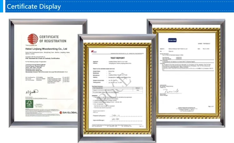 Modern Pink Velvet Round Back Dior Stainless Steel Wedding Dining Chair Dining Room Chair Restaurant Chair Leisure Chair