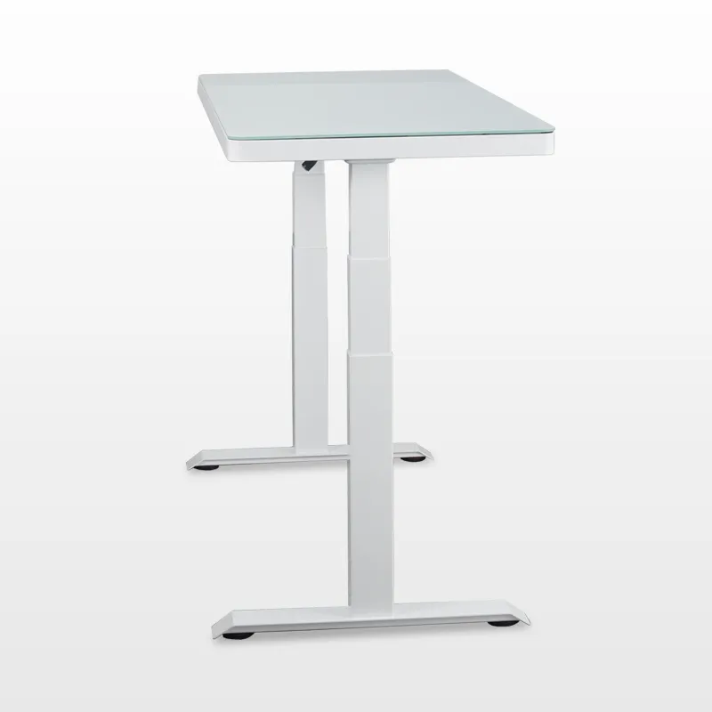 Professional Hot Sale Manufacturer Cost Quick Assembly Electric Standing Desk