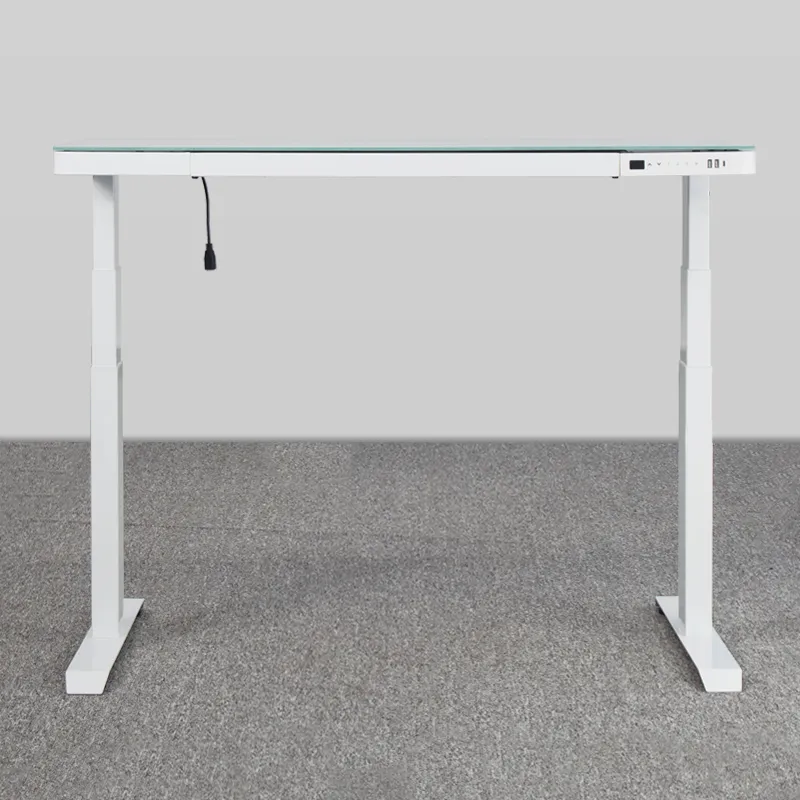 Quick Assembly Best Selling 5 Years Warranty Stand Desk